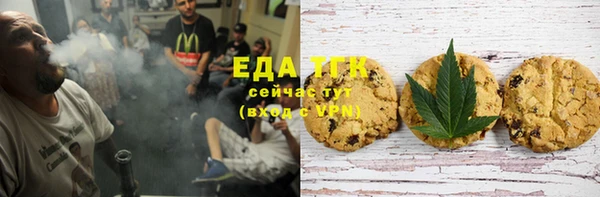 индика Новозыбков
