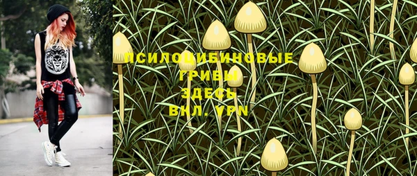 не бодяженный Новодвинск
