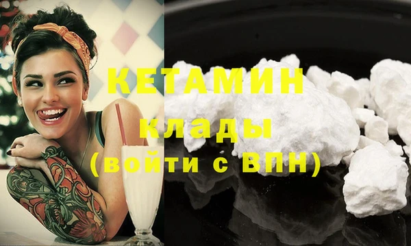 трава Няндома