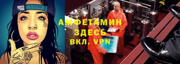 трава Няндома