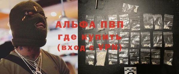 индика Новозыбков