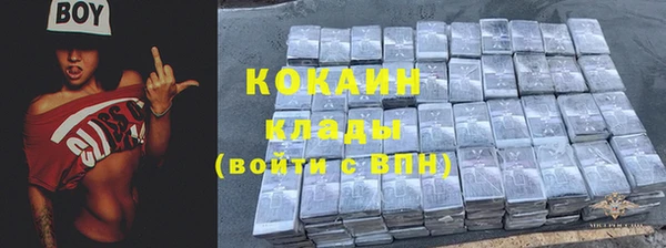 трава Няндома