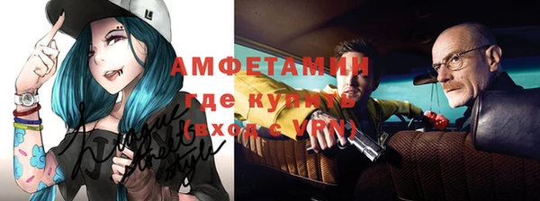 трава Няндома