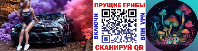 MEGA ONION Новоуральск Псилоцибиновые грибы GOLDEN TEACHER
