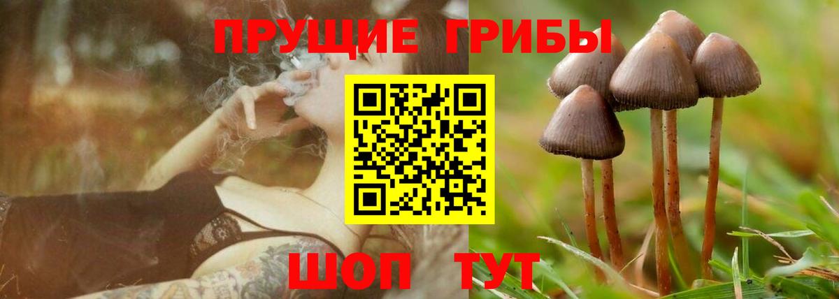 Псилоцибиновые грибы Psilocybine cubensis  Галлюциногенные грибы прущие грибы  Вход с VPN  Новоуральск 